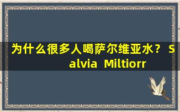 为什么很多人喝萨尔维亚水？ Salvia  Miltiorrhiza比Panax  Notoginseng好吗？